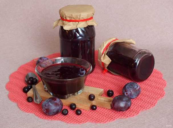 Свойства черноплодной рябины: простые и вкусные рецепты
