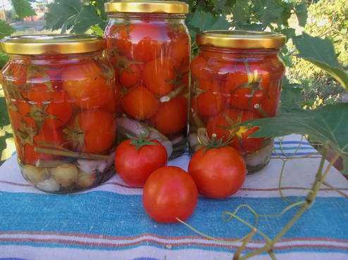 Помидоры на зиму без стерилизации: 3 рецепта заготовок. как готовить консервированные помидоры