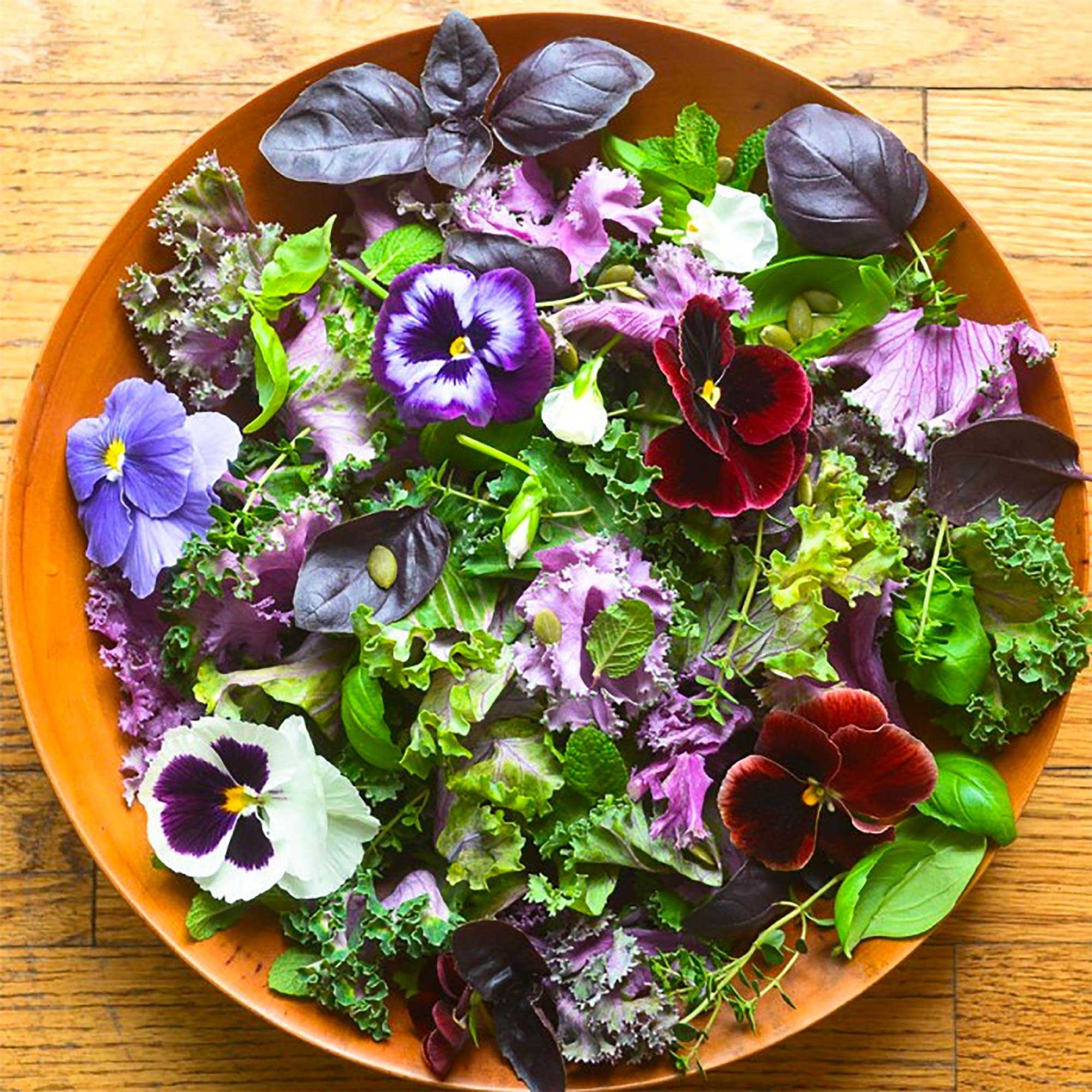 Салат фиалки — рецепт приготовления в домашних условиях