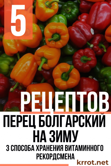 Рецепты лечо из болгарского перца: для любого времени года
