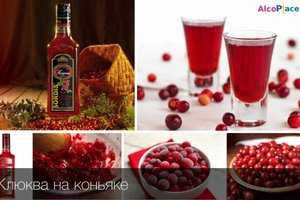Рецепт настойки клюквы на спирту в домашних условиях