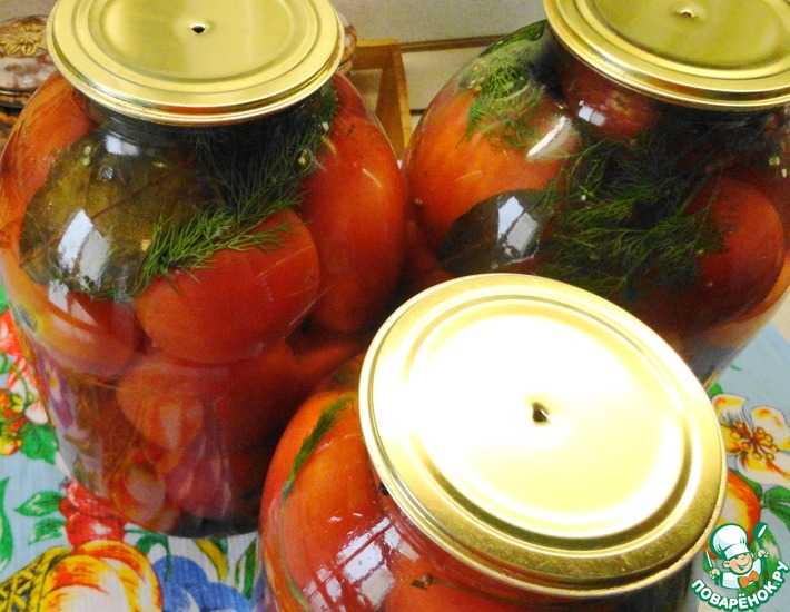 Секреты быстрой засолки помидоров. Как засолить томаты в кастрюле, банке, пакете, ведре. Рецепты с чесноком, зеленью, корицей, хреном, медом и лимоном.