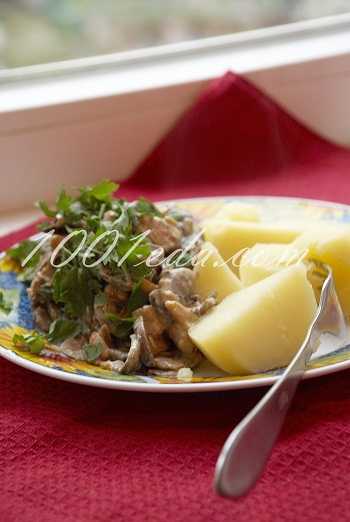 Куриное филе в сметанном соусе с грибами – 7 рецептов