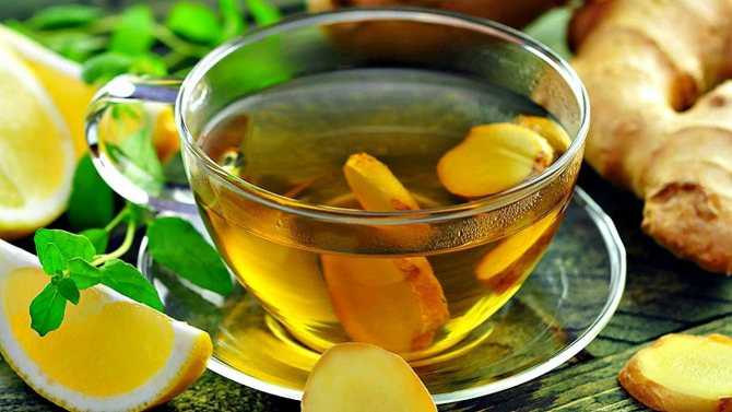 Чай с медом при простуде: польза, противопоказания, рекомендации