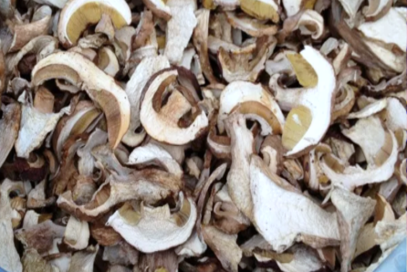 Сушеные грибы лисички — как их сушить в домашних условиях, польза, вред