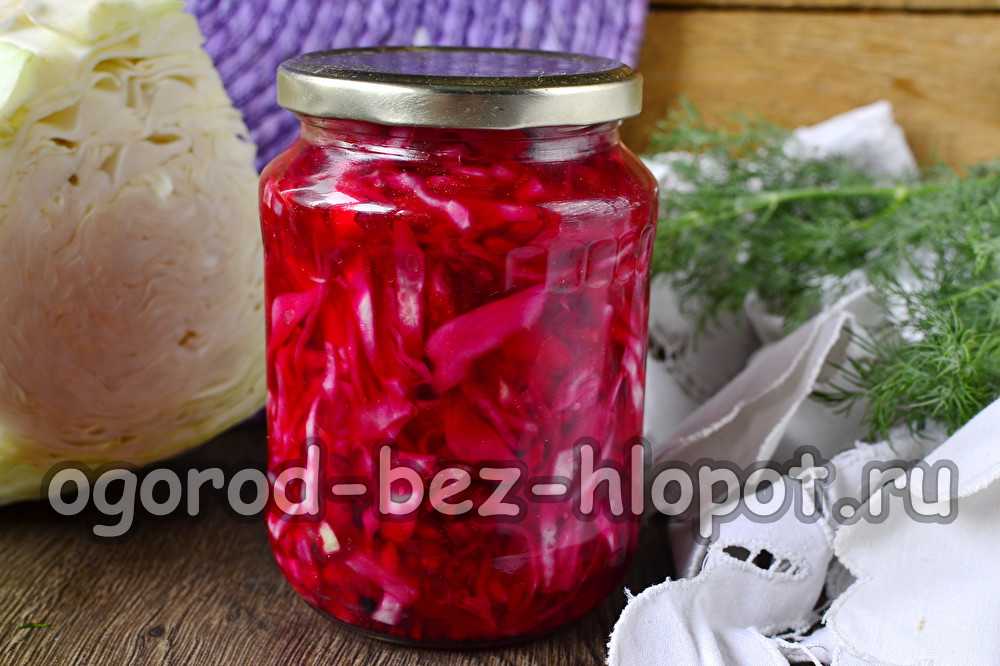 Маринованная капуста пелюстка со свеклой (буряком) быстрого приготовления