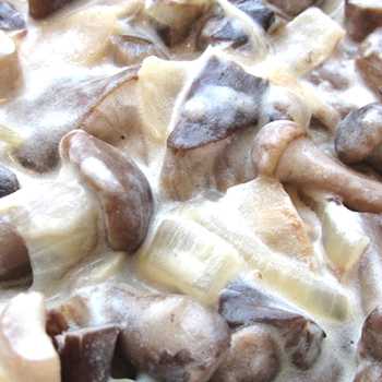 Сливочно грибной соус рецепт приготовления