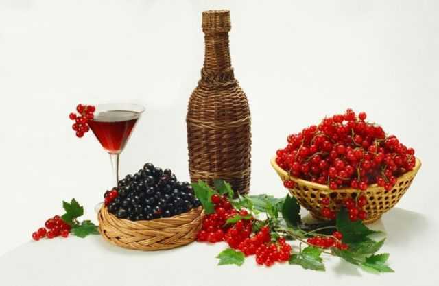 Вино из черной смородины: простые пошаговые рецепты в домашних условиях, польза и вред