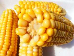 Как заморозить кукурузу на зиму в початках и зернах