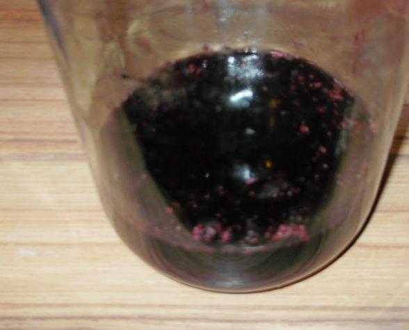 Как делать вино из шелковицы в домашних условиях – сайт о винограде и вине