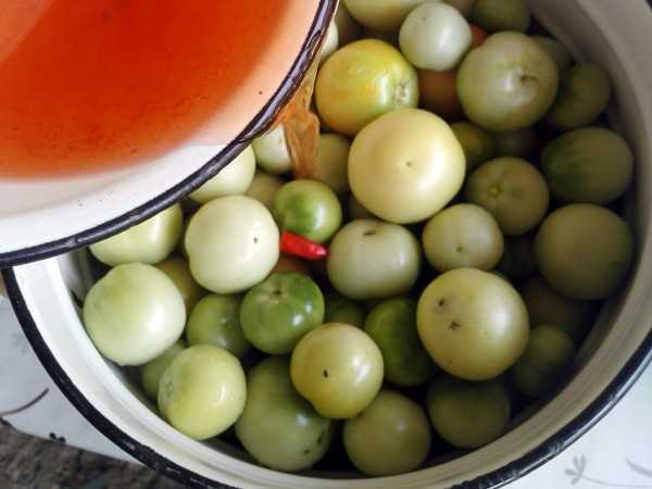 Как засолить зеленые помидоры на зиму в банках: простые рецепты домашних заготовок