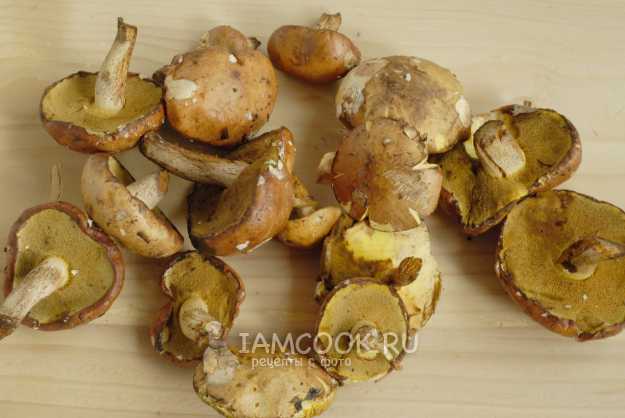 Как заморозить грибы на зиму: свежие, вареные, подготовка грибов к заморозке, хранение в морозилке