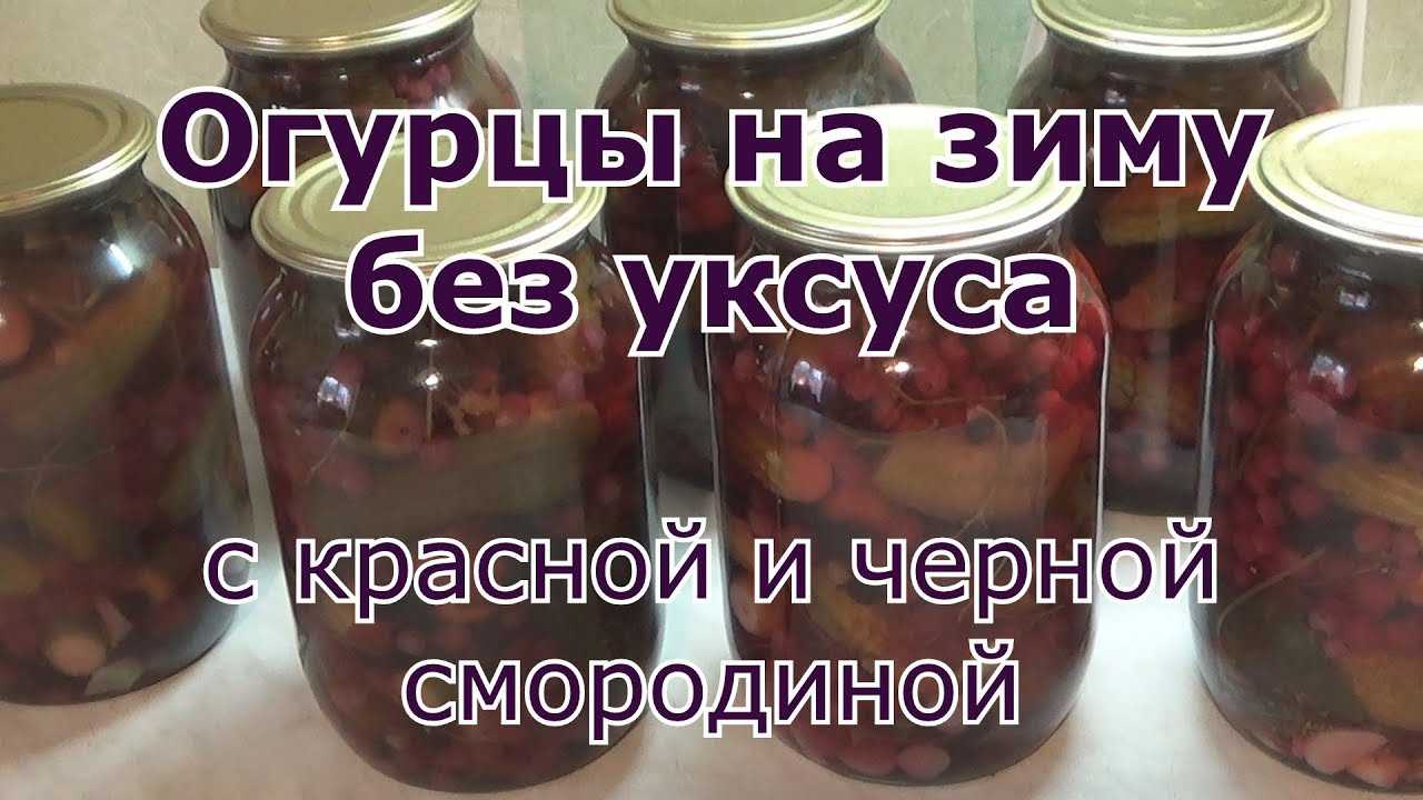 Рецепт на зиму без уксуса. Огурцы на зиму с черной смородиной. Огурцы без уксуса и без стерилизации с черной смородиной!. Огурцы с черной смородиной на зиму рецепты без уксуса. Огурцы с черной смородиной на зиму самый вкусный.