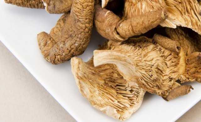 Как сушить белые грибы в домашних условиях: правила и сроки хранения