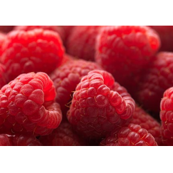 Малина на зиму без варки — рецепты сохранения свежих ягод