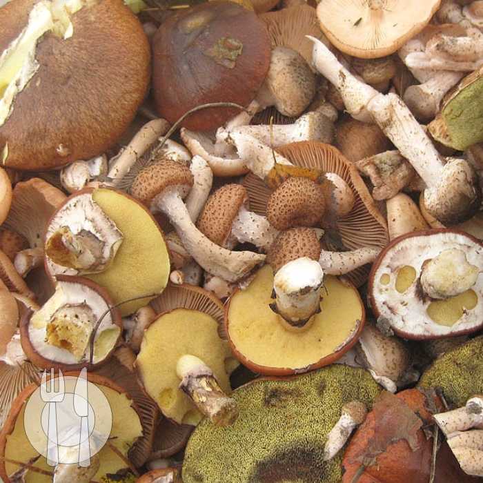 Замороженные белые грибы: как готовить, лучшие рецепты блюд с фото, калорийность
