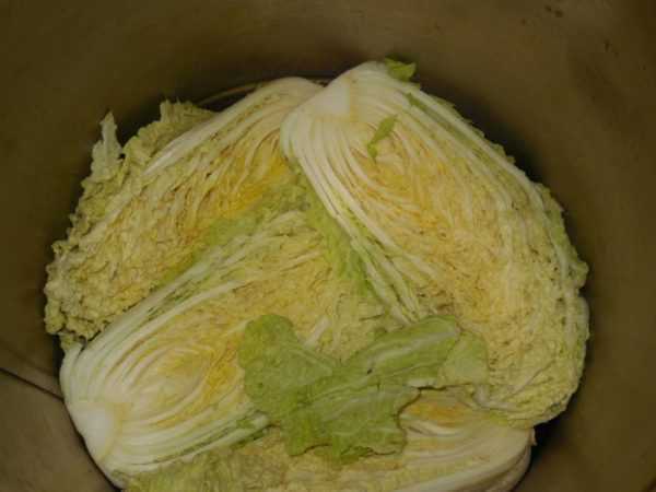 Как правильно солить пекинскую капусту? несколько простых и быстрых рецептов приготовления
