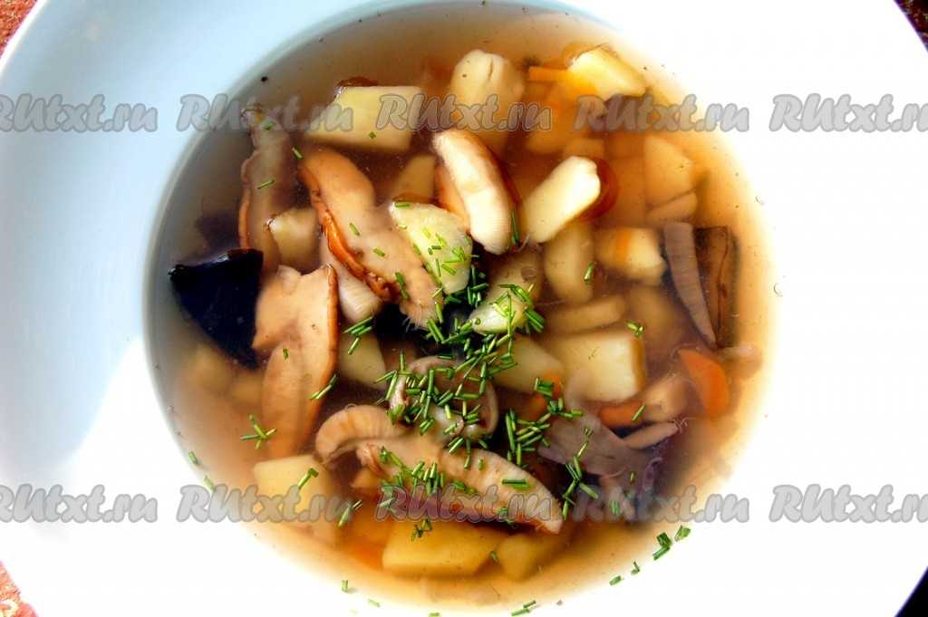 Варят ли суп с солеными грибами рецепт. грибной суп из соленых и маринованных грибов