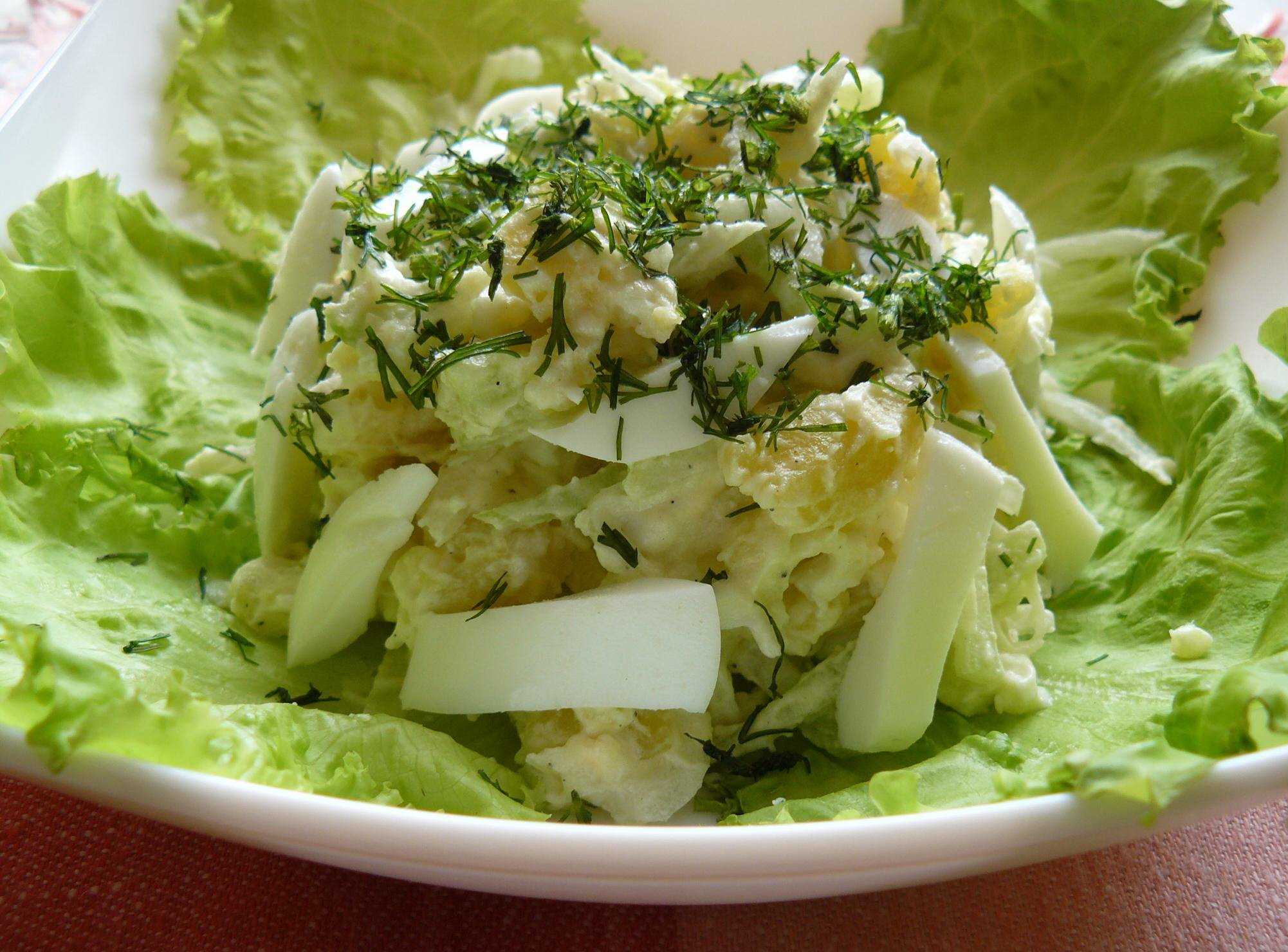 Салат из редьки со сметаной топ 10 самых лучших рецептов