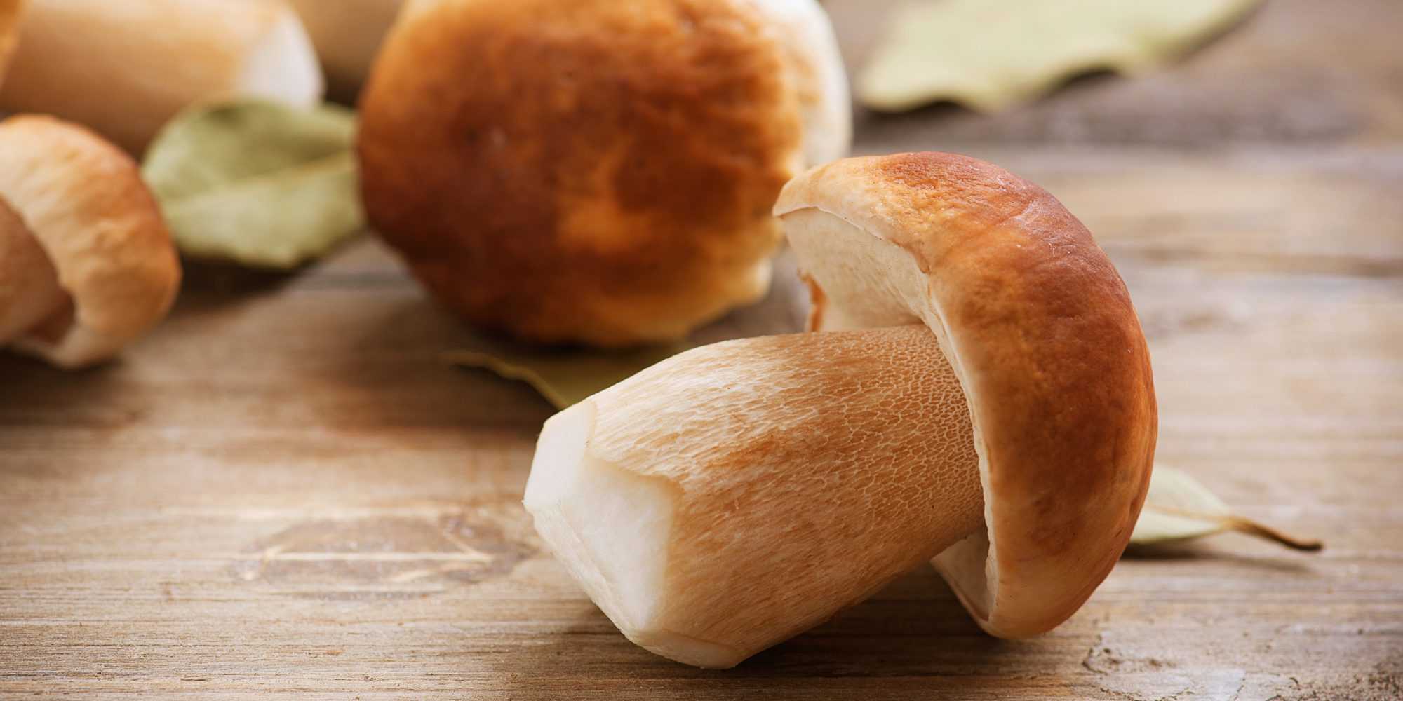 Правильная заморозка свежих белых грибов: рецепты предварительной подготовки к этой заготовке мороженных боровиков