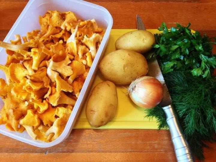 Как приготовить лисички в сметане - рецепты приготовления блюд с грибами на сковороде или в духовке