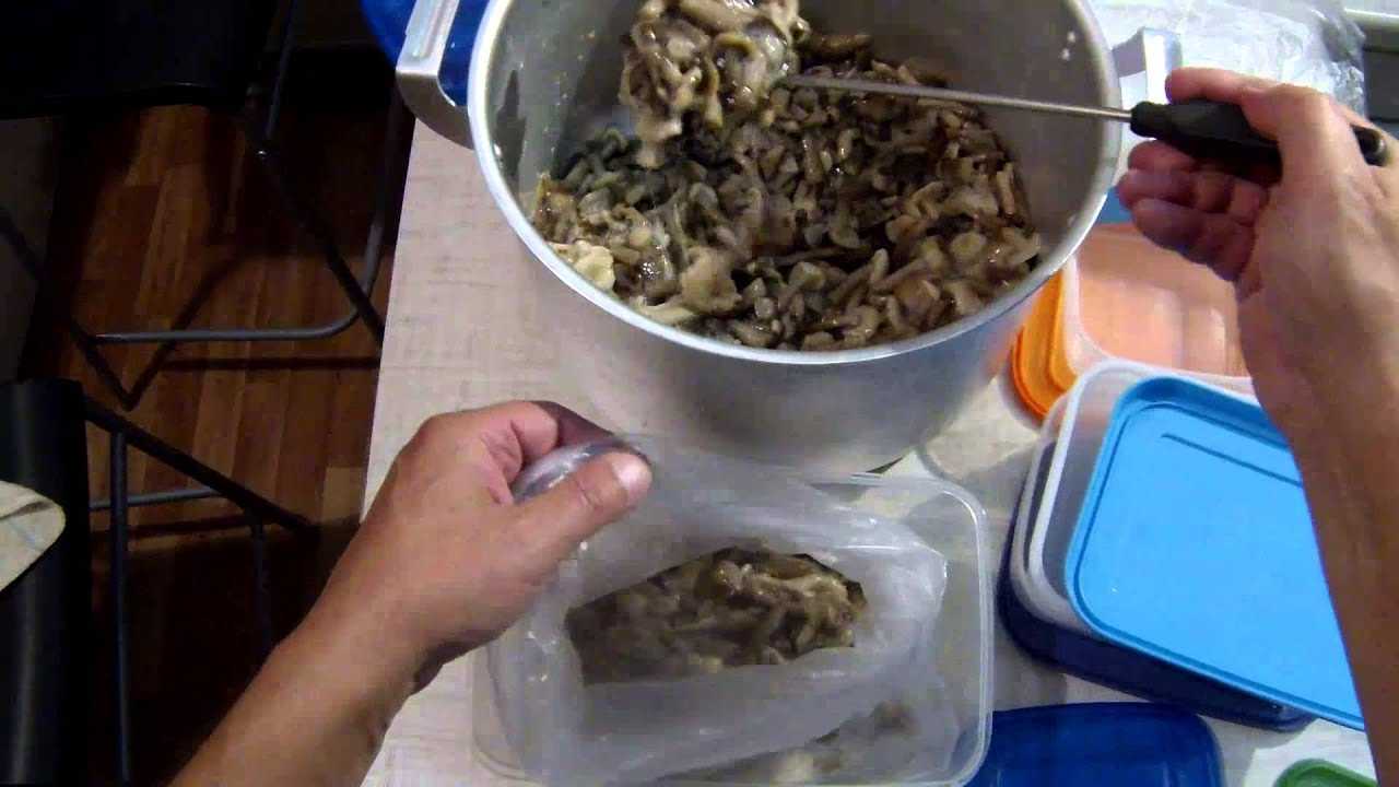 Как заморозить белые грибы на зиму и использовать после замораживания