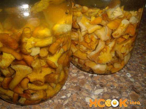 Рецепты приготовления лисичек на зиму с фото и видео: как вкусно приготовить грибы