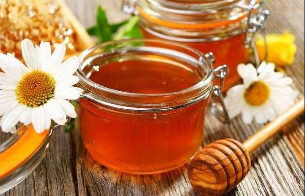 8 способов проверки меда: как нас обманывают продавцы и пчеловоды