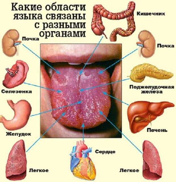 Во рту появилась белая язвочка: как лечить