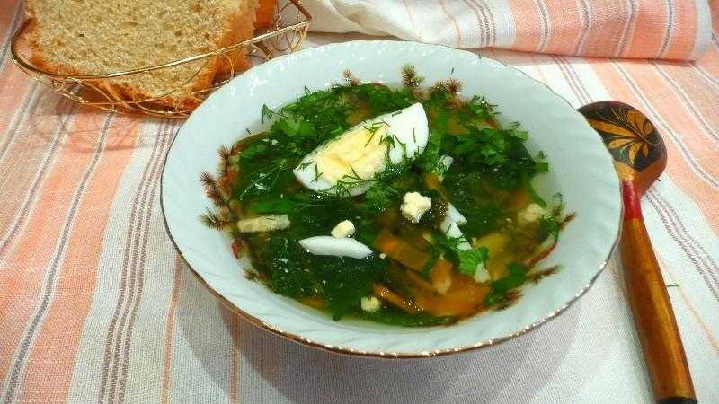 Щавелевый суп: классические рецепты супа из щавеля с яйцом и не только