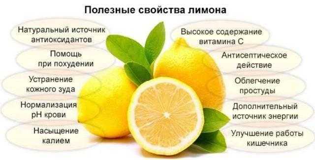 Как сохранить лимоны в домашних условиях надолго: в холодильнике свежими, где хранить, чтобы не испортились на зиму