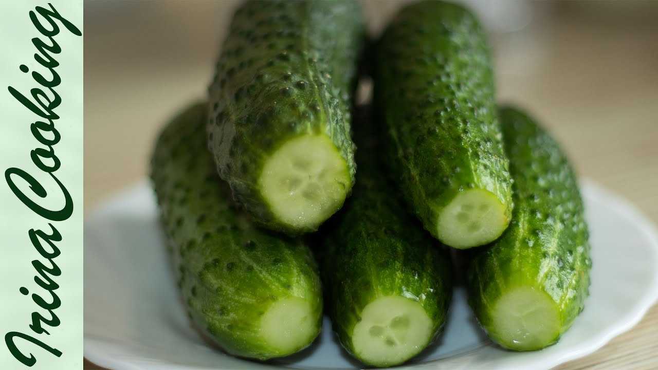 Малосольные огурцы в банке: 8 рецептов, как приготовить хрустящие и вкусные - будет вкусно! - медиаплатформа миртесен