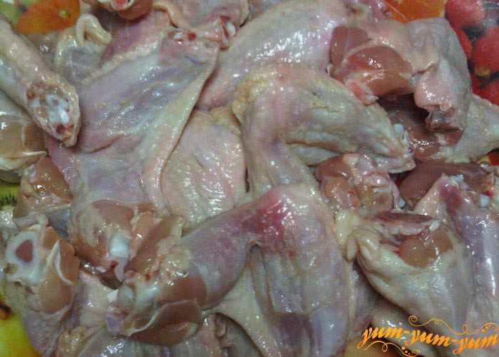 Копчение курицы в коптильне горячего копчения: пошаговые рецепты с фото