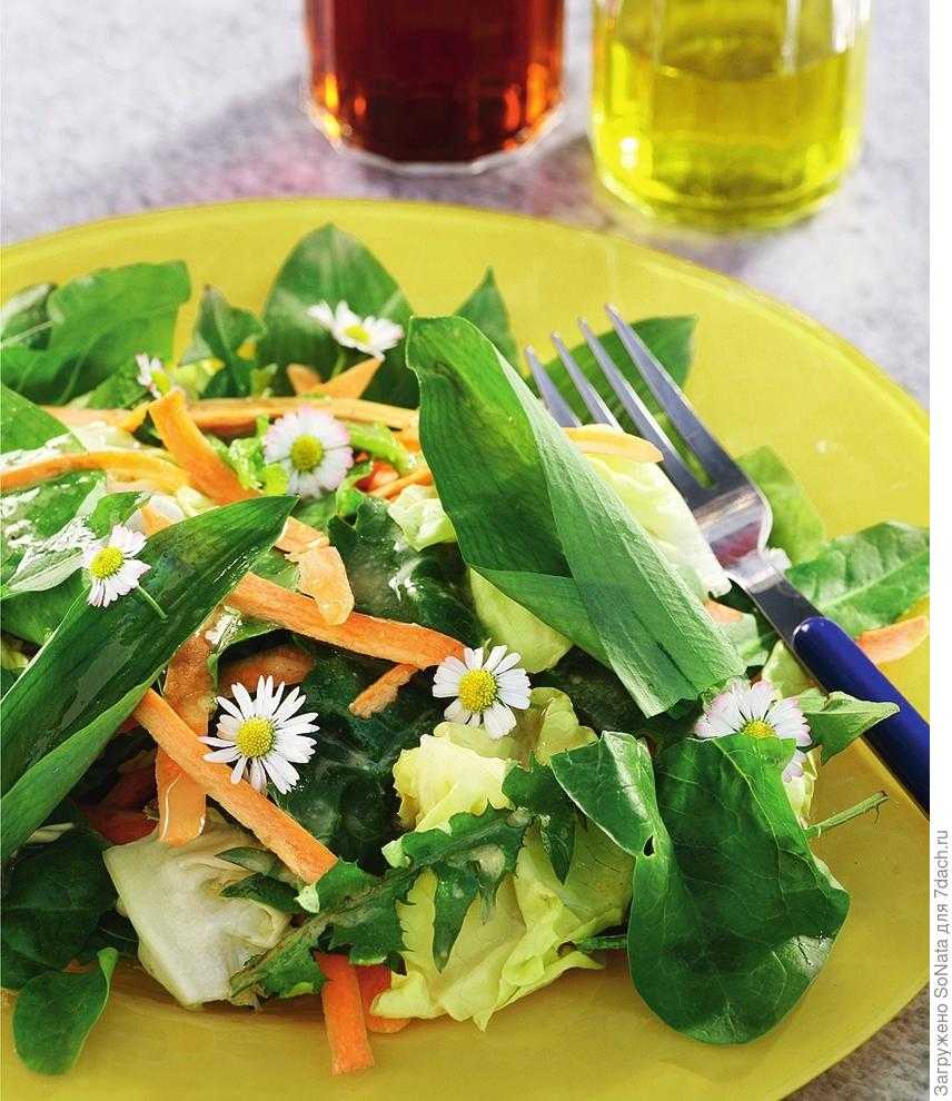 Блюда без растительного. Салатная трава. Зелень для салатов. Салат из травы. Зелень для украшения блюд.