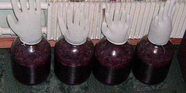 Чача из винограда в домашних условиях простой рецепт пошаговый (фото)