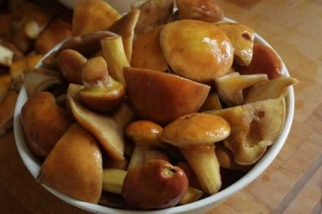 Как солить грибы маслята: рецепты приготовления горячим и холодным способом