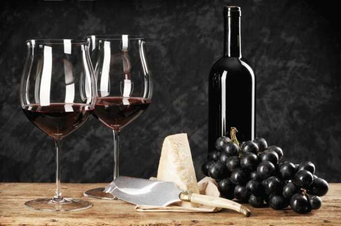 Вино из винограда изабелла в домашних условиях — 4 простых рецепта