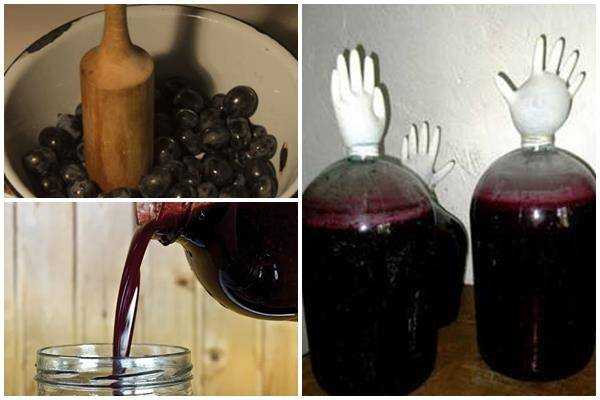 Как приготовить ароматное вино из изюма: 10 пошаговых рецептов с фото