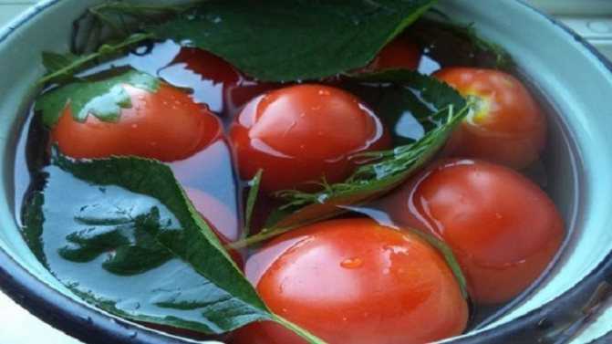Как засолить помидоры холодным способом в банках: рецепты с видео