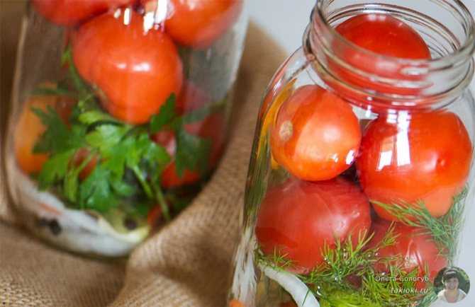 Как приготовить солёные помидоры на зиму в банках