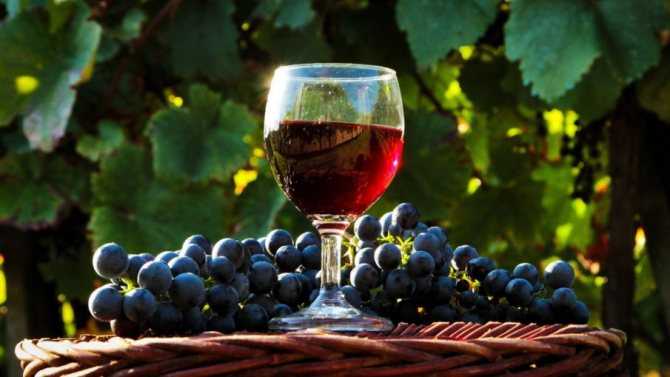Секреты приготовления вина. почему не бродит мезга?