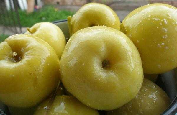 Квашеные яблоки с капустой: рецепт приготовления на зиму в домашних условиях в бочке и в банке, польза и вред этой закуски русский фермер