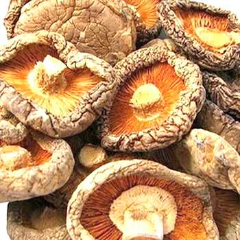 Рыжики сушеные: способы сушки грибов в духовке, аэрогриле, микроволновой печи, на свежем воздухе. Применение сушеных рыжиков в кулинарии. Сроки и условия хранения продукта.