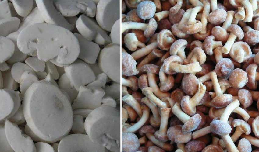 Как заморозить грибы на зиму: все способы