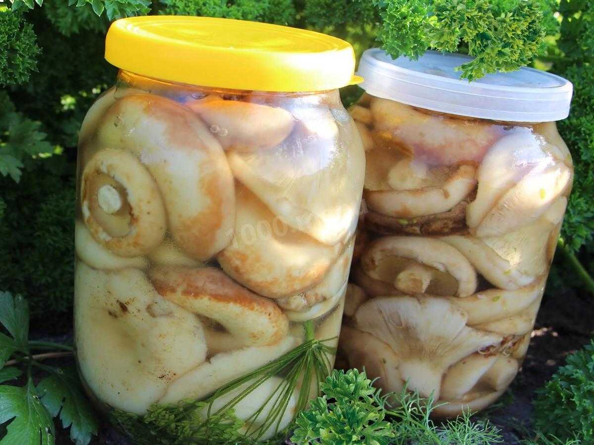 Грибная икра на зиму из вареных грибов — рецепты приготовления через мясорубку с луком