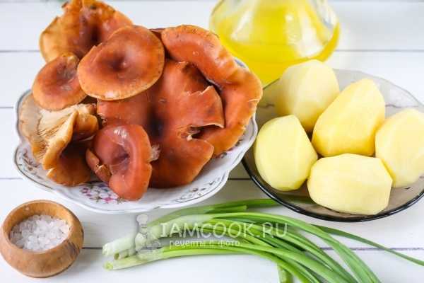 Рыжики в сметане на сковороде: вкусные рецепты с луком, курицей - растения и огород