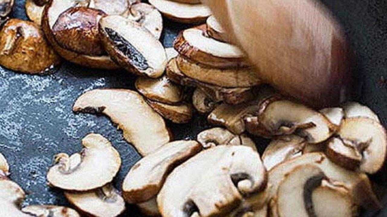 Срок и условия хранения жареных грибов