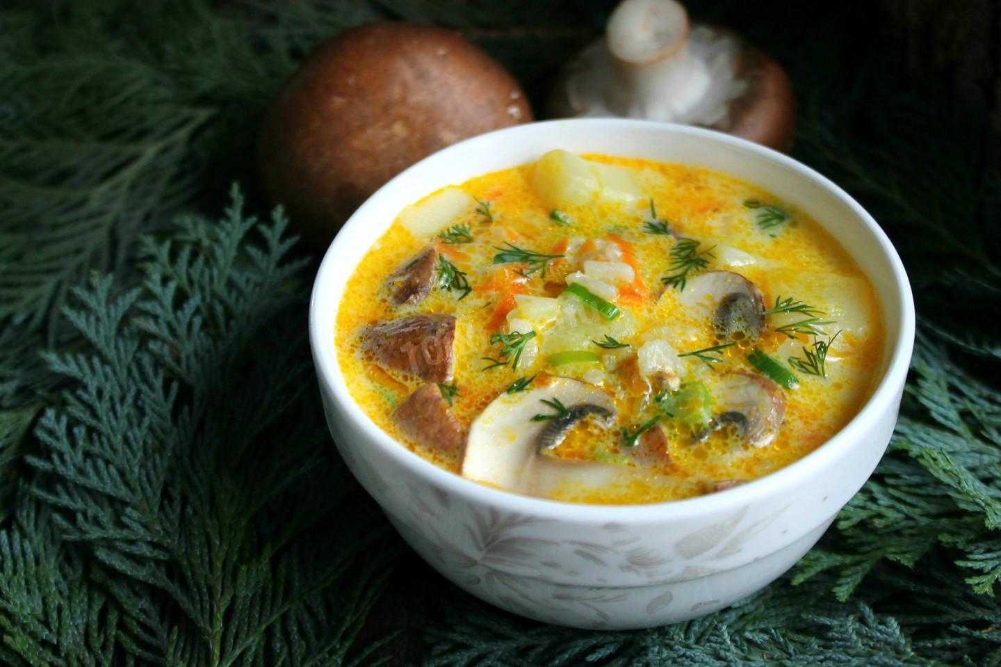 Грибной суп из белых сушеных грибов - рецепт с фото | как приготовить на webpudding.ru