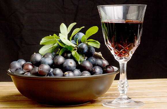 Вино из ирги: особенности ягоды и процесс приготовления напитка. Классический и другие рецепты, которыми можно воспользоваться в домашних условиях.