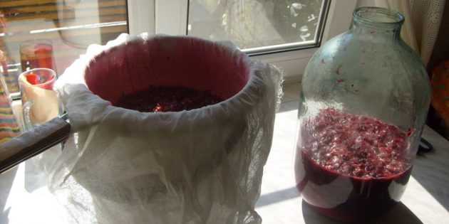 Рецепт приготовления вина из черной, красной и белой смородины